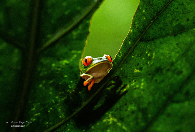 Механизм успеха: ноябрь 2025