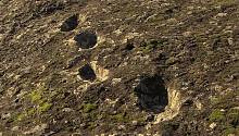 Загадочные следы говорят о том, что неандертальцы поднимались на вулкан сразу после извержения