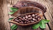 Ученые обнаружили полезные свойства какао