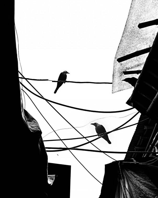 Фотоконкурс Leica Street Photo