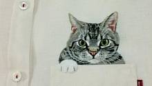 Пятничные котики