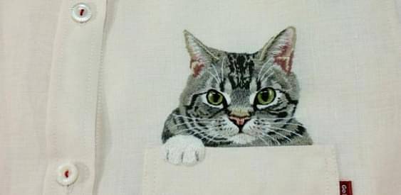 Пятничные котики
