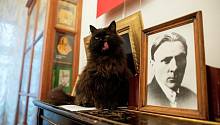 Кот Бегемот уйдет на пенсию