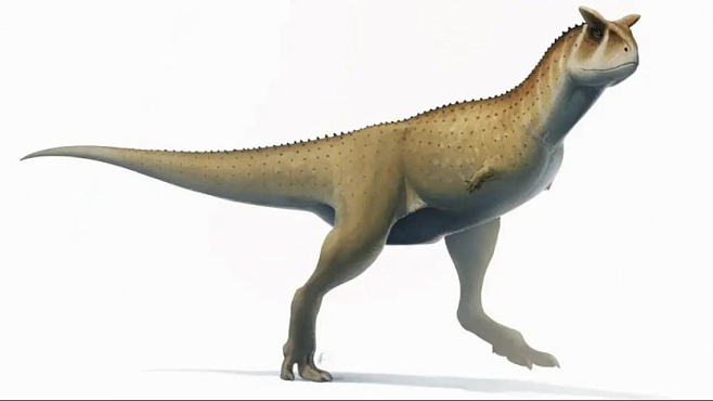 Найдены останки «безрукого» динозавра