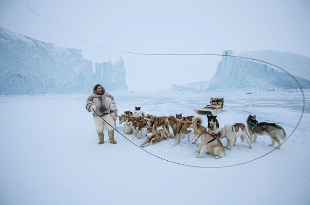 Лучшие фото года от National Geographic