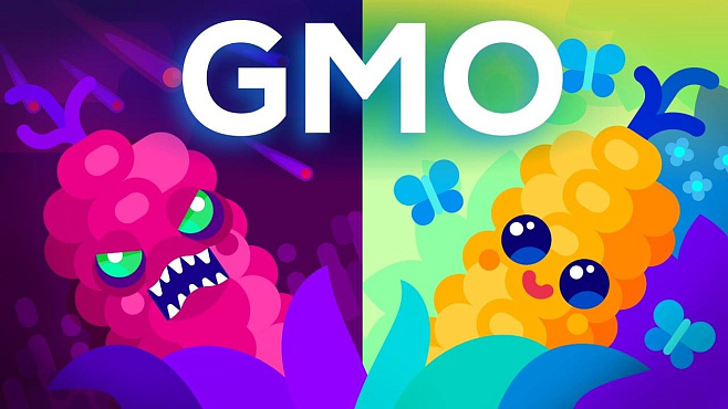 ГМО. Когда это кончится?
