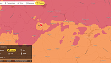 «Яндекс.Погода» позаботилась об аллергиках