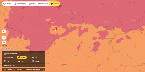 «Яндекс.Погода» позаботилась об аллергиках