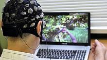 В Петербурге разработан игровой комплекс для реабилитации пациентов после инсульта