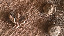 Марсоход Curiosity сделал снимок маленького минерального цветка