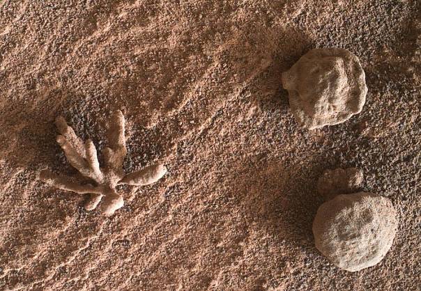 Марсоход Curiosity сделал снимок маленького минерального цветка