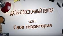 ДАЛЬНЕВОСТОЧНЫЙ ГЕКТАР часть 3
