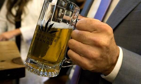 В Канаде создали пиво из конопли