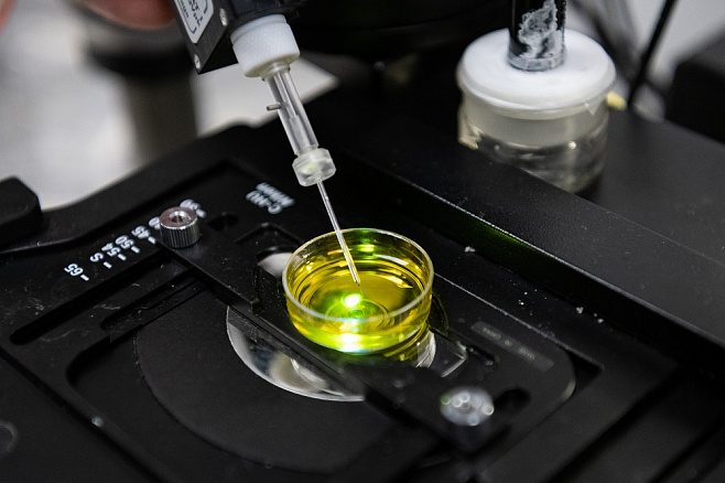 Универсальный нанодатчик поможет диагностировать заболевания на ранней стадии