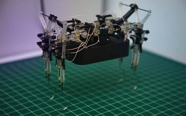 Ученые ЛЭТИ разработали модель для исследования искусственных мышц микророботов
