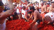 30 августа 2017 - Фестиваль ТОМАТИНА (Tomatino Festival) 