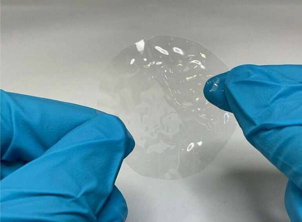 Разработан экологичный пластик из целлюлозы и воды