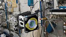 NASA привлекает к работе в космосе «астропчёл»