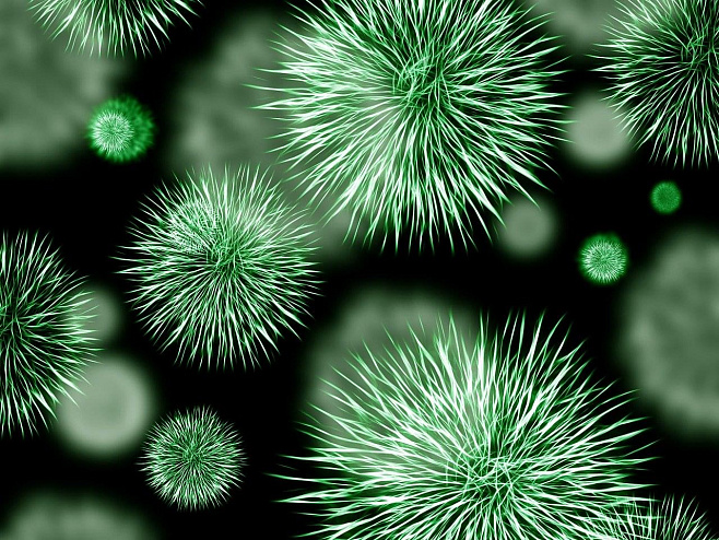 Летальная мутация сделала бактерию туберкулеза устойчивой к важному антибиотику