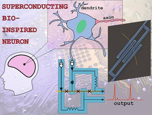Российские физики создали сверхпроводниковый нейрон на основе золотых нанопроводов