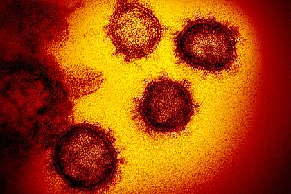 Технология CRISPR может стать средством борьбы с COVID-19