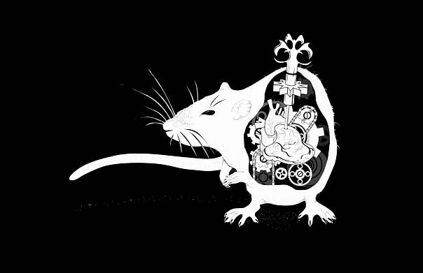 Исследователи создают крысиных киборгов, контролируемых человеческими мыслями