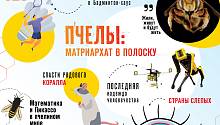 Июльский «ММ»: полосатый рейс