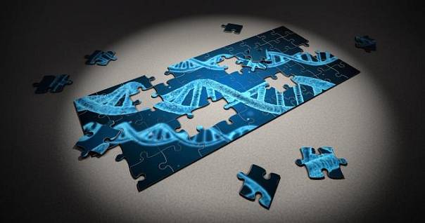 Распространенная технология генетического анализа неправильно определяет очень редкие генные варианты