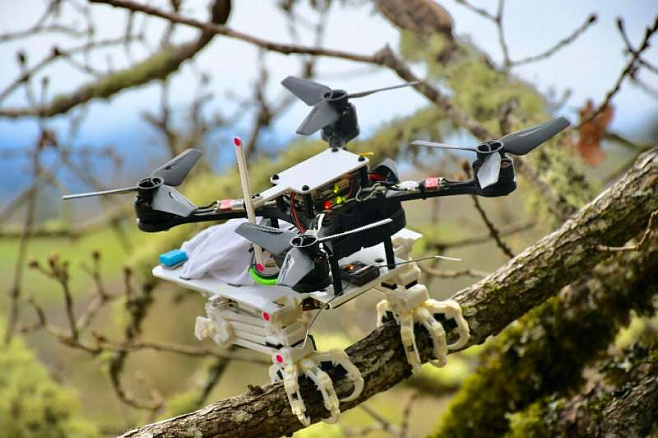 Роботизированные лапы помогут дронам сидеть на ветках, как птицы