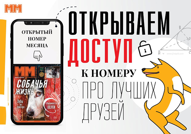 «Поводок привязанности»: открываем доступ к номеру про лучших друзей