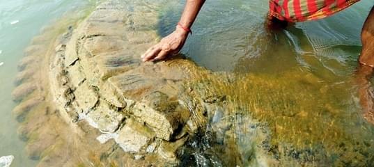 Затонувший храм впервые за 11 лет возвышается над водами реки Маханади 