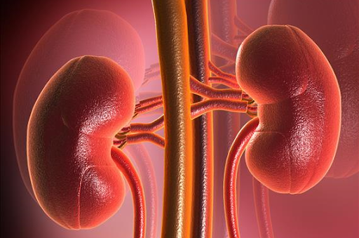 Определён новый фактор, удваивающий риск смерти от коронавируса