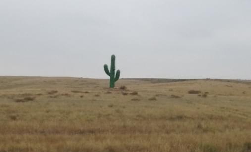 На пути в Аркаим