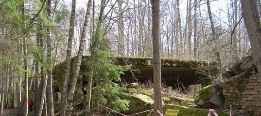 В Волчьем логове Гитлера нашли новые артефакты 