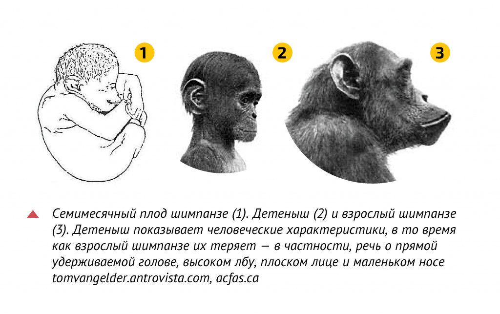 4.jpg 4.jpg
