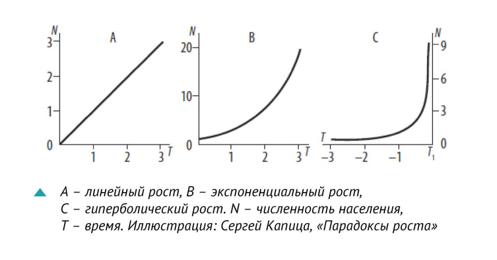 виды функций роста: линейная, експоненциальная, гиперболическая