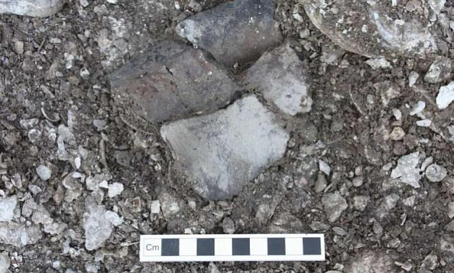 Новые свидетельства кулинарных предпочтений доисторического человека