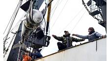 Под Норильском активисты спасли около 100 китов и других млекопитающих
