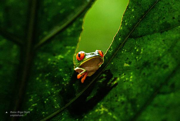 Фотоконкурс «Мир глазами биолога»