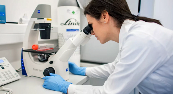 Как выглядит коронавирус, вызывающий COVID-19?