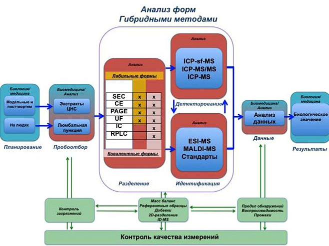 Разработка химиков СПбГУ поможет лучше понять механизмы нейродегенеративных заболеваний