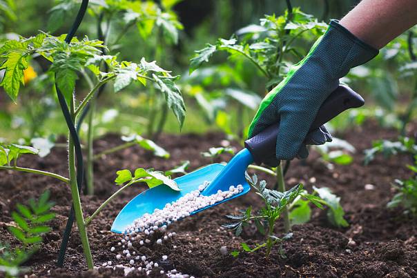 Металлургия в помощь аграриям: найдена альтернатива дорогостоящим удобрениям