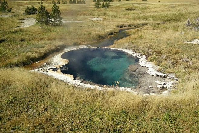 В гейзерах обитают бактерии, питающиеся электричеством 