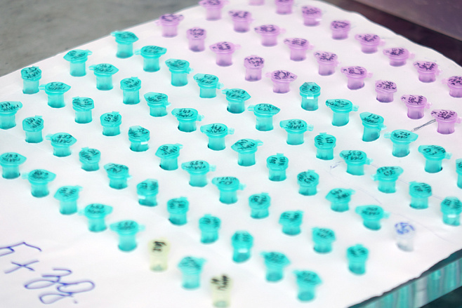 В БелГУ обнаружили генетический фактор развития гипертензии