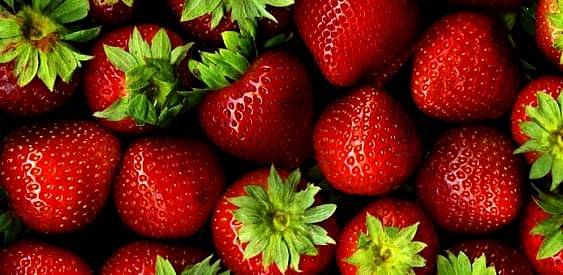 Свободу радикалам 