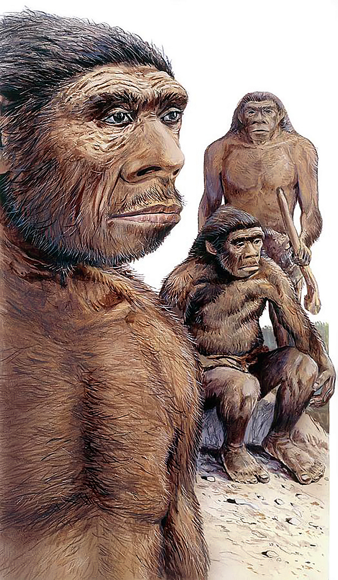 Homo дальних странствий