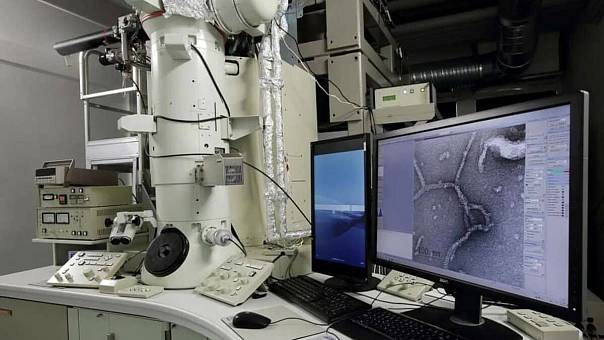 В МИФИ создали разработку для ранней̆ диагностики новообразований кожи