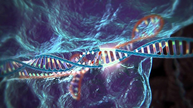 Разработан новый метод генного редактирования. Он точнее и эффективнее CRISPR