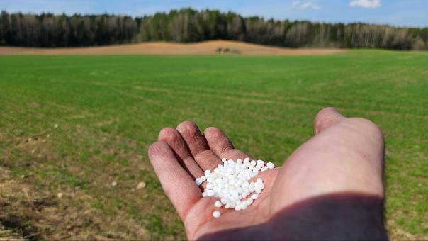 Ученые НИТУ МИСИС разработали новое перспективное удобрение из жидкого стекла и высушенного геля из мочевины