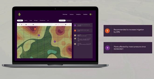 Генетически модифицированные растения светятся, когда им нужна помощь